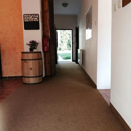 Castle-wall-inn ゲストハウス ミクロフ